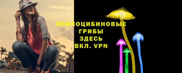 первитин Мегион