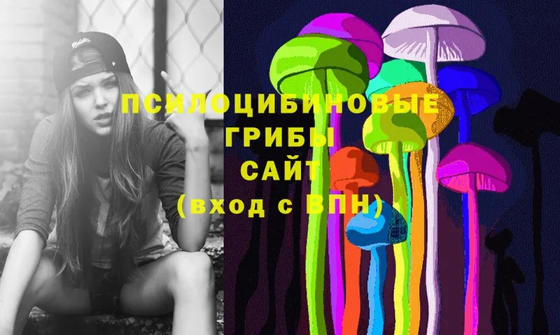 Галлюциногенные грибы Psilocybe  нарко площадка какой сайт  Барыш  где продают   MEGA зеркало 